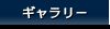 ギャラリー